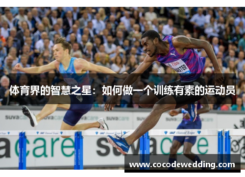 体育界的智慧之星：如何做一个训练有素的运动员